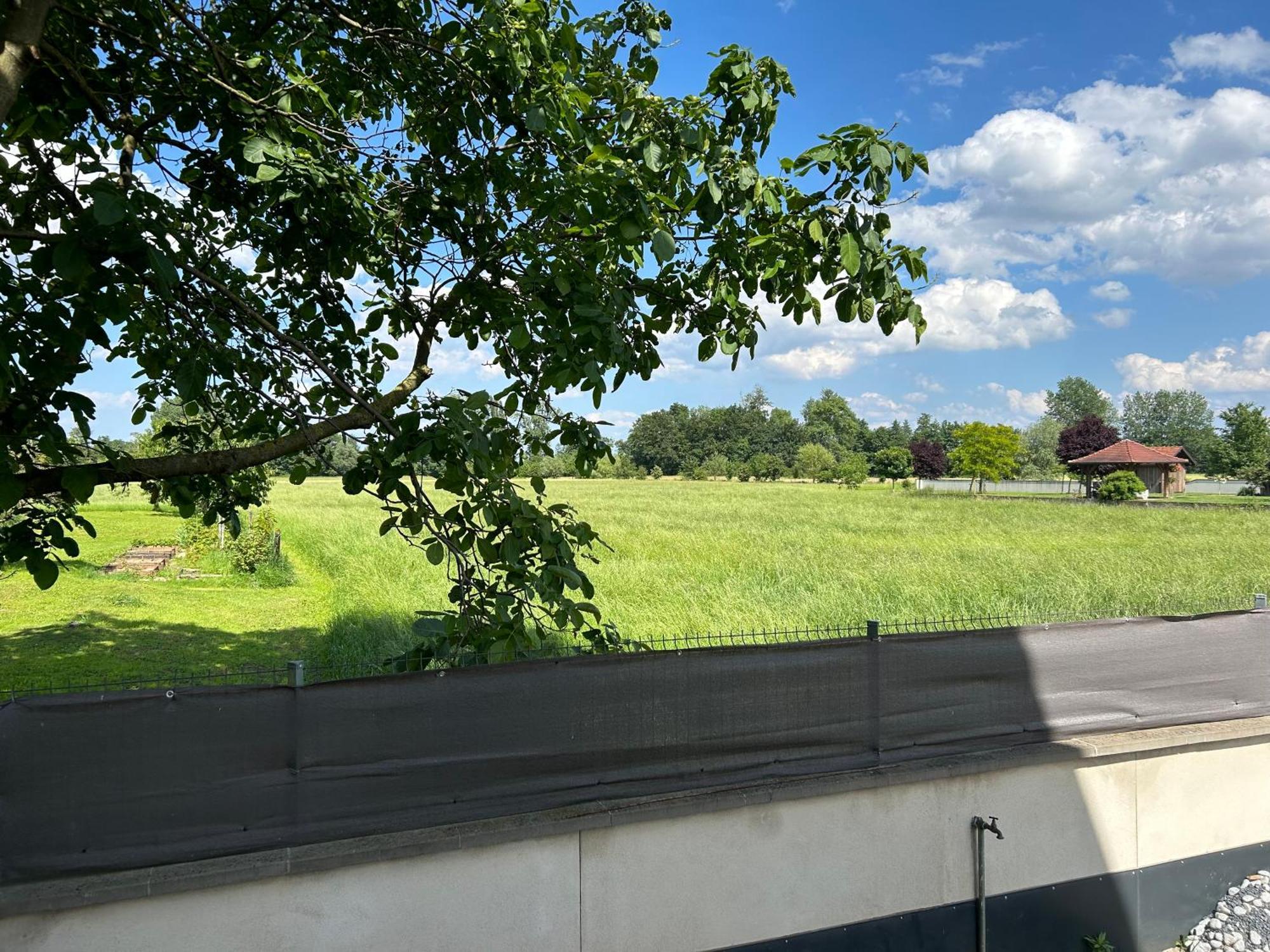 Charmant Studio Avec Terrasse Ebersheim Exteriör bild